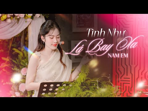 Nam Em - Tình Như Lá Bay Xa | Sáng Tác: Jimmy Nguyễn | From LIVE SESSION M' 1975