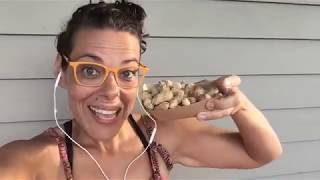 The Good & Bad about Peanuts