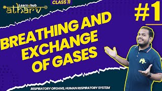 Breathing and Exchange of Gases Class 11 Biology NCERT Chapter 13 #1 | Respiratory System | Atharv