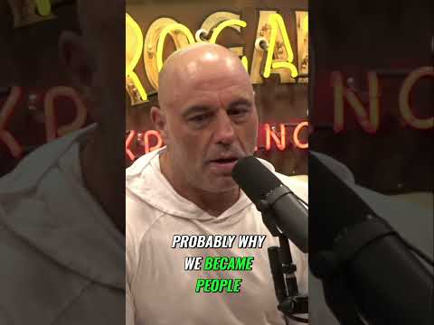 The Potent Power of Psychedelics  Unlocking Their Sacred Origins