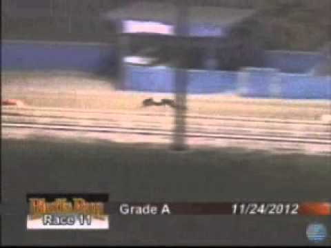 Slatex Pluto # 1 Bluffs Run Race 11 Nov 24 2012