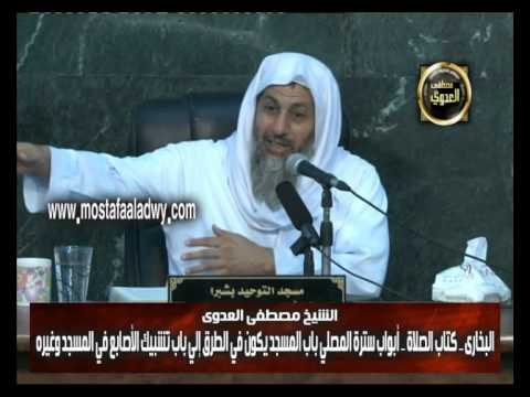  البخاري (91) ” المسجد يكون في الطريق من غير ضرربالناس ” كتاب الصلاة باب (86-88) 