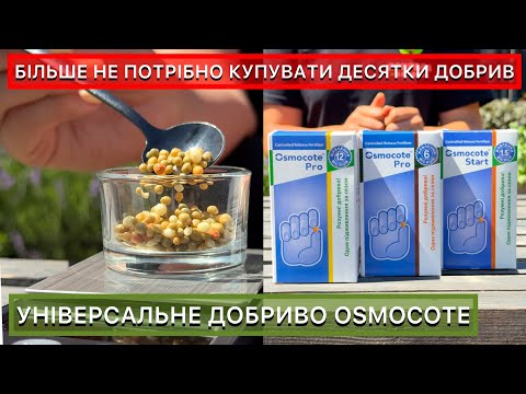 Осмокот, яке добриво обрати? Види, терміни дії, поради для садівників