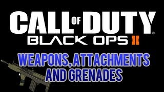 Black Ops 2, wild card break down and weapons/attachments