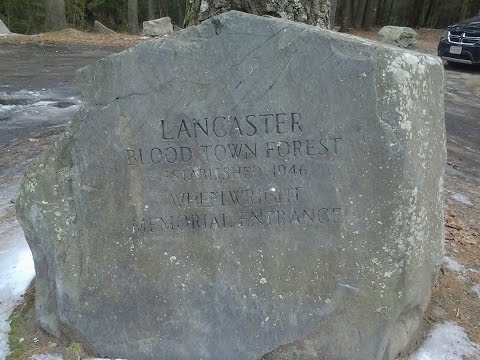 Bloodtown forest  Lancaster ma