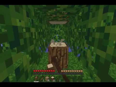 DwaGam3 - Minecraft - World Anarchy Ep1 1/2