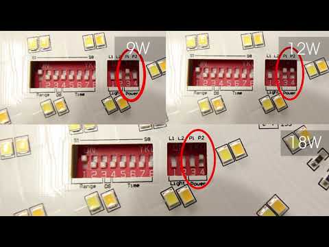 K2D DD Lamp Settings Tutorial