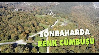 Düzce'de sonbahar güzelliği