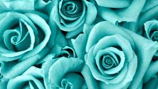 Angel of the Morning - The Pretenders   [Chip Taylor]