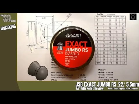 JSB Exact Jumbo RS (5.52mm) .22 - Air Rifle Pellet Review #6