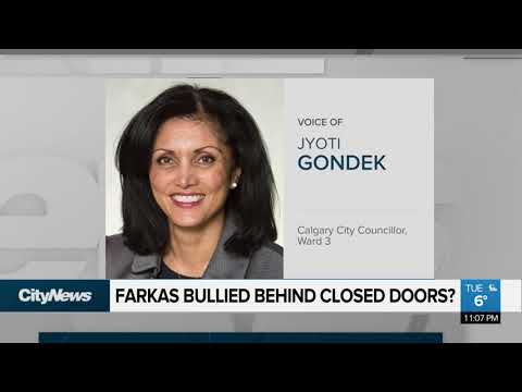 Farkas says he was bullied by councillors during meeting