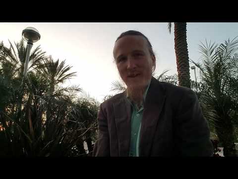 Romans 14: Should we ignore vegans because they have weak faith?