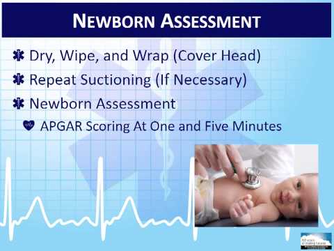 EMT 5-11: 産科と婦人科 (EMT 5-11:  Obstetrics and Gynecology)