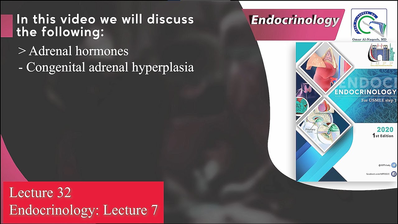 Adrenal hormones || congenital adrenal hyperplasia