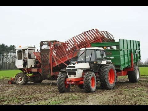 Loonw. Ripatrac - Koekelare - David Brown 1690 Turbo - International 956 XL - Dewulf