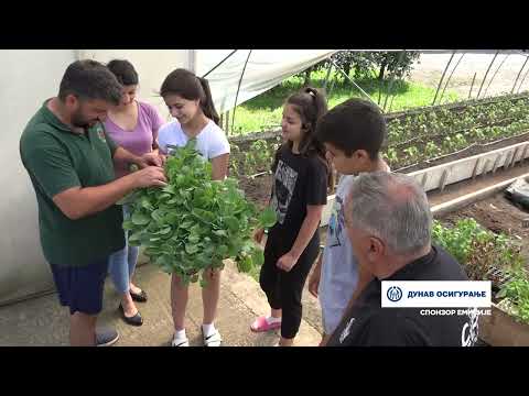 Naša priča ep. 411 13.07.2023. Vojislav Tošović, Radaljevo, proizvodnja povrća