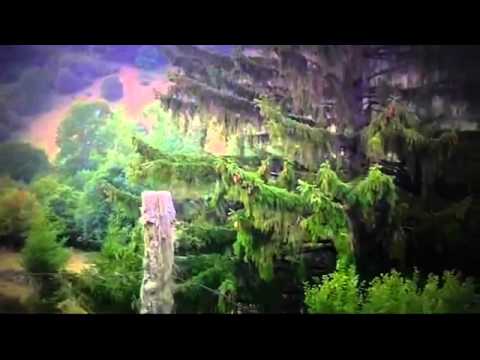 Pensiuni Apuseni - Cazat.ro