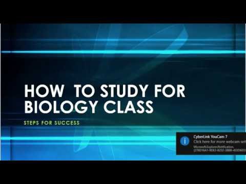 Holt Biology Skills Worksheet Answers: Detailed Login ...