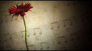 This love- Magic Numbers