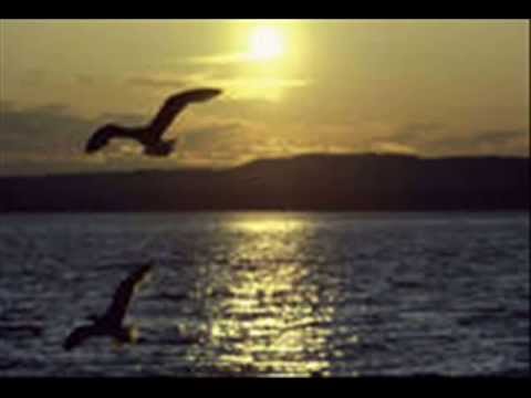 Dornenvoegel - Piano zur Trauerfeier, Rudi Wagner