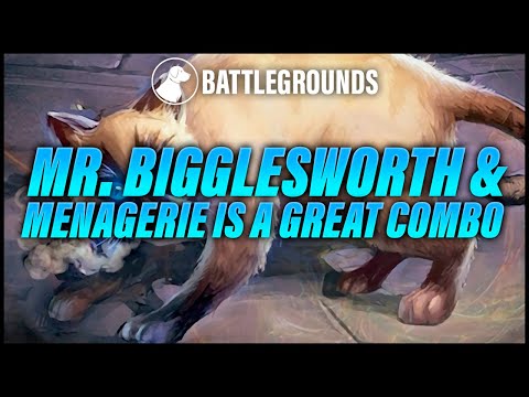 Mr. Bigglesworth Menagerie is a Great Combo | Dogdog Hearthstone Battlegrounds
