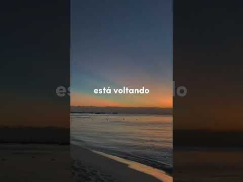 O REI ESTÁ VOLTANDO! 💚