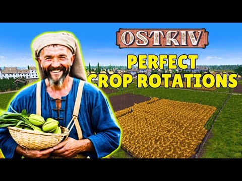 How To Get The Perfect Crop Rotations In Ostriv