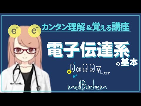 テトラデカンの表現