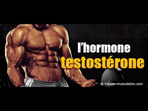 comment augmenter taux de testosterone