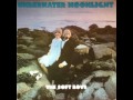 The Soft Boys "Positive Vibrations"