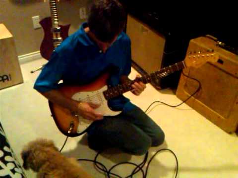 Robert Quine Fernandes Stratocaster guitar floating tremolo demonstration