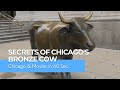 Secrets of Chicago’s Bronze Cow