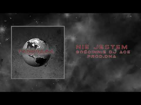 Panda/Marlon - Nie jestem gościnnie DJ Ace (prod.DNA)