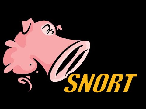 image-Is Snort or Suricata better?
