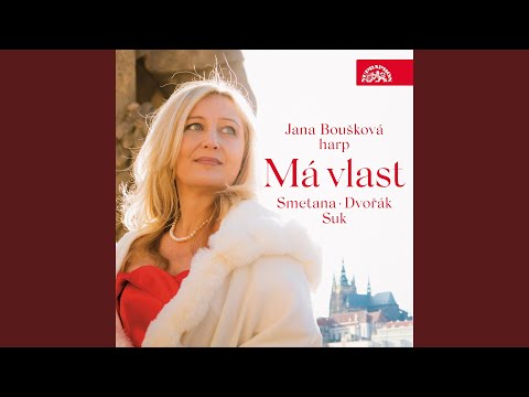 My Country - Vyšehrad (Lento - Largo maestoso - Grandioso - Allegro vivo ma non agitato - Lento...