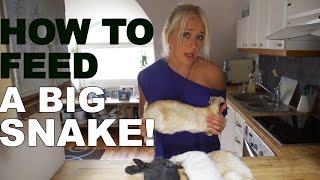 How To Feed A Big Snake - Jessica Wolff