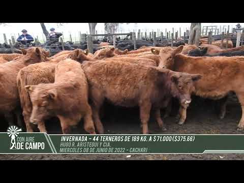 Resumen del remate de Hugo R. Aristegui - Miércoles 8 de junio de 2022 - Cacharí