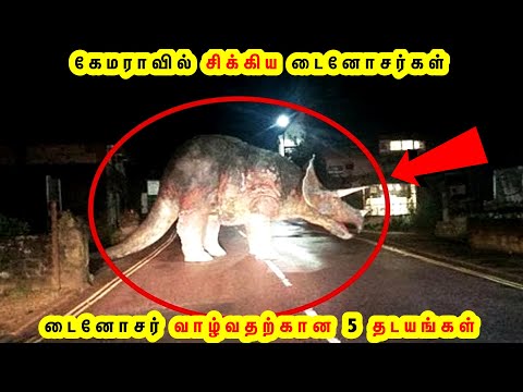 கேமராவில் சிக்கிய டைனோசர்கள் | Amazing Dinosaur Animals Facts in tamil |  Tamil Galatta Facts GK FOX | CaptionsMaker - subtitles editor for YouTube