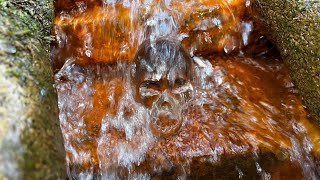 The Temple of the Sea – Pain Release