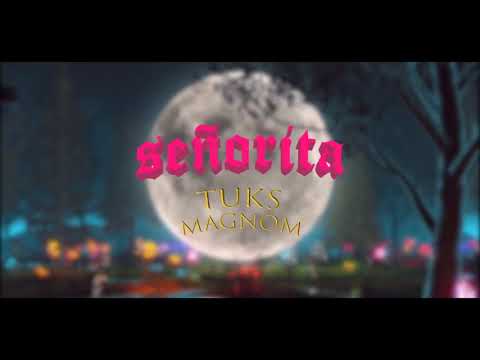 Magnom & #Tuks - Senorita [Visualizer]