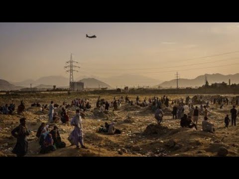 I PET GOAT 3: The New World