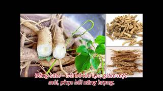 PQA Thập Toàn Đại Bổ – Bồi bổ từ gốc, khỏe mạnh từ tâm.”