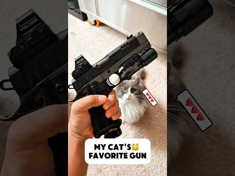 Best Budget 2011 - EAA Witness 2311 Match X🔥 Cat approved👍 #shorts #girsan #eaacorp #cat #catlover