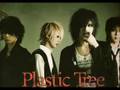 Plastic Tree - Suisai 