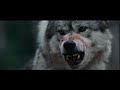 OUT COME THE WOLVES WOLF ATTACK SCENE Directed By Adam MacDonald 2024
