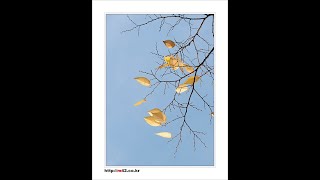엄마의 손 (ChatGPT) 글