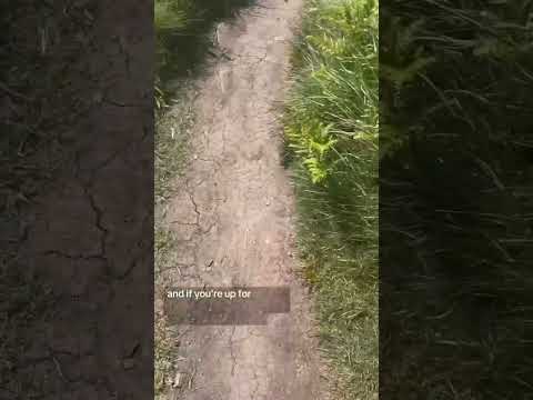 Spend a day in Crosshaven