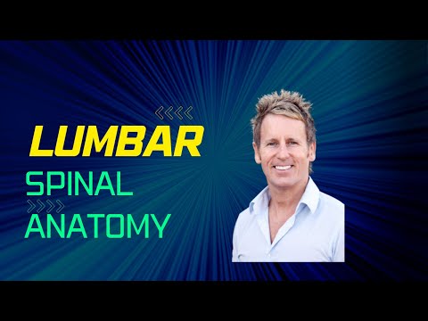 Lumbar Spine Anatomy & Function