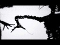 The Twilight Singers - Don't Call 
