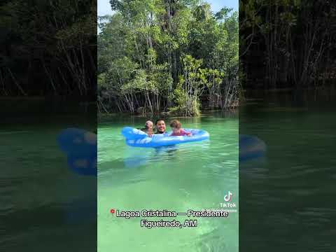 Presidente Figueiredo no Amazonas 🐾🐆